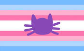 Transcatgender
